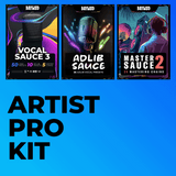 Artist Pro Kit - BaywoodAudio.com